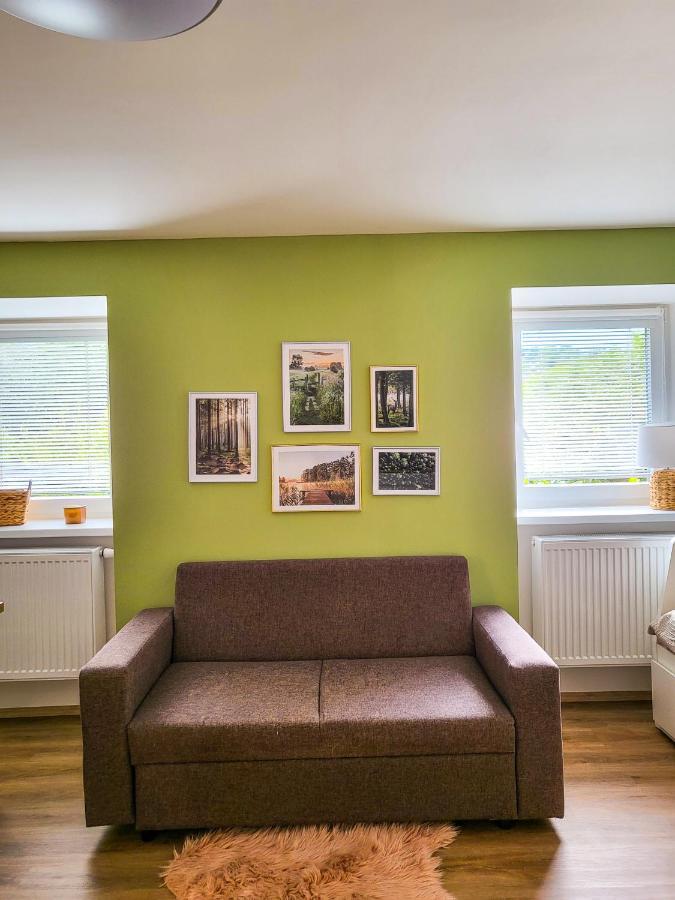 Apartmany U Kolacku Hartmanice  Экстерьер фото